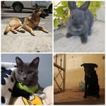@bob.angus.tom.gaston - Instagram