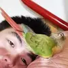 Bob Angus - @zamnojisan - TikTok