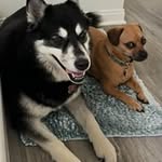 Bob Applegate - @gunnerdad46 - Instagram