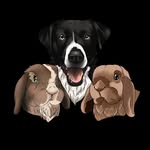 Bob, Violette 🐰 & Arko 🐶🫶🏻 - @bunsandoggy - Instagram