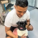 Bob Avila Olvera - @bobavila11 - Instagram