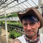 Bob Baden - @greenhousebob - Instagram