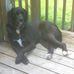 Bob Baird - Facebook