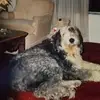 Bob Baker - @bob.baker270 - TikTok