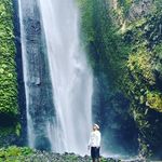 bob bali - @bobbali - Instagram