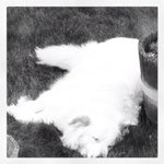 Bob Ballinger - @bobballinger - Instagram