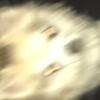 Bob Ballsack - @bob.ballsack - TikTok
