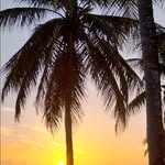 Bob Balogh - @motox4266 - Instagram