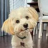 Bobby B - @bobby.balogh - TikTok