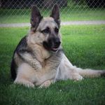 Bobbi Behymer Nelson - @bobbaloo_sbj - Instagram