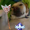 bobbancauap - @bobbancauap - TikTok