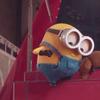 BOB 🍌😍 - @bobz...bananas - TikTok