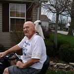 Bob Bane - @banebob - Instagram