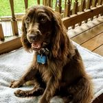 Bob Banker - @rbankr - Instagram