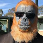 Bob Bannister - @bob_bannister - Instagram