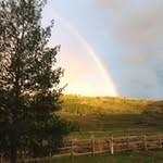 Bob Bannon - @bob.bannon.77 - Instagram