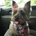 Bob Bannon - @2bornot2bbob - Instagram