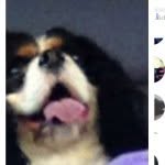 Bob - @bob_banta_bob - Instagram