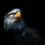 Bob Barden - @hisside - Instagram