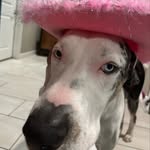 Bob Barker - @bobbarkersfanpage - Instagram