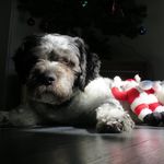 Bob Barker - @bobbarks - Instagram
