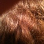 Bob Barley - @barley1887 - Instagram