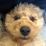 Bob Barley - @mrbobbarley - Instagram
