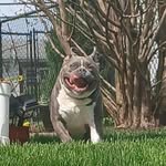 Bob Barnak - @bobbarnak - Instagram