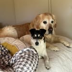 Melissa Jeuniewic - @barnaby_bob_jeuniewic - Instagram