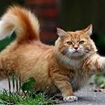 Bob Barnett - @bob.barnett.5895 - Instagram
