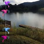 Bob Barone - @baronebob - Instagram