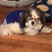Robert Barone - Facebook