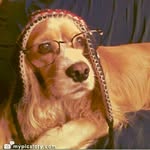 Bob-E Barrera - @bobb_edog - Instagram