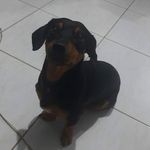 Bob Barreto - @__babybob - Instagram