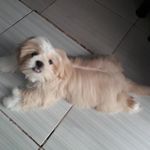 @bobbarreto2022 - Instagram