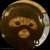 Rob Barreto - @robbarreto - TikTok