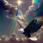 Robert Barreto - Facebook
