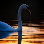 Rob Barrie Pics - @robbarrie_pics - Instagram