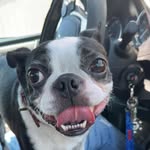 Bobby Lee Barrientos-Ball - @theworldofbobby - Instagram