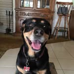Bob Bartko - @bobbartko - Instagram