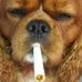 Robert Barta - Facebook