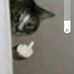 Bob Barwick - Facebook