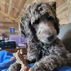 bobbiejeanbarwick - @bobbiejeanbarwick - TikTok