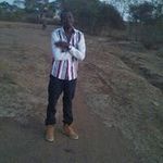 Bob Basil - @bob.basil - Instagram