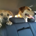 Bob Basil - @rbasil9 - Instagram