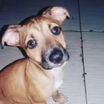 Bob Basilio Silva - @bobbasiliosilva - Instagram