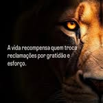 Bob Eder Basilio - @bob.edbasilio - Instagram