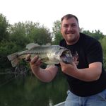 Bob Baskerville - @talltinetimber - Instagram