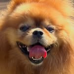 Bob Bass - @bobinho_bass - Instagram