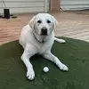 Bob Bass - @bob.bass - TikTok